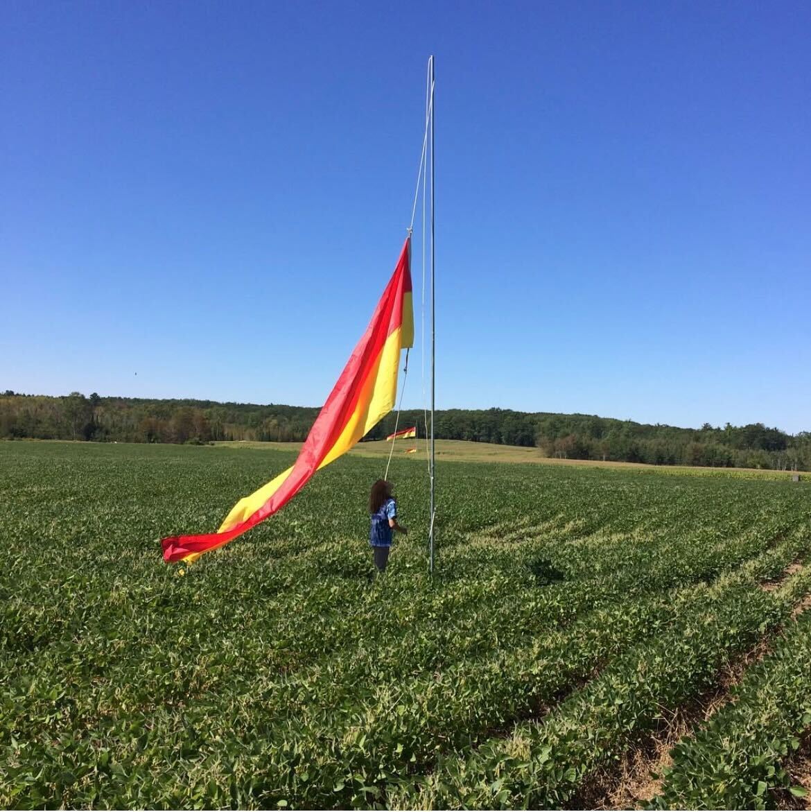 Large wind flag in an open field used for reading wind conditions at the range